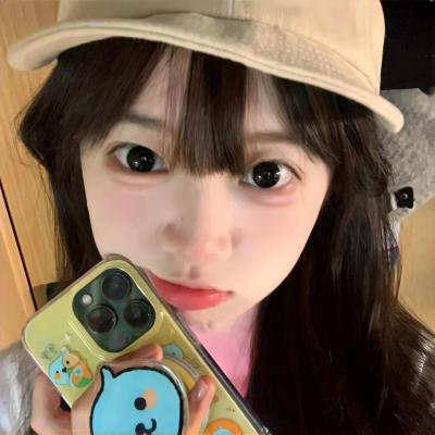 猫头鹰与小飞象